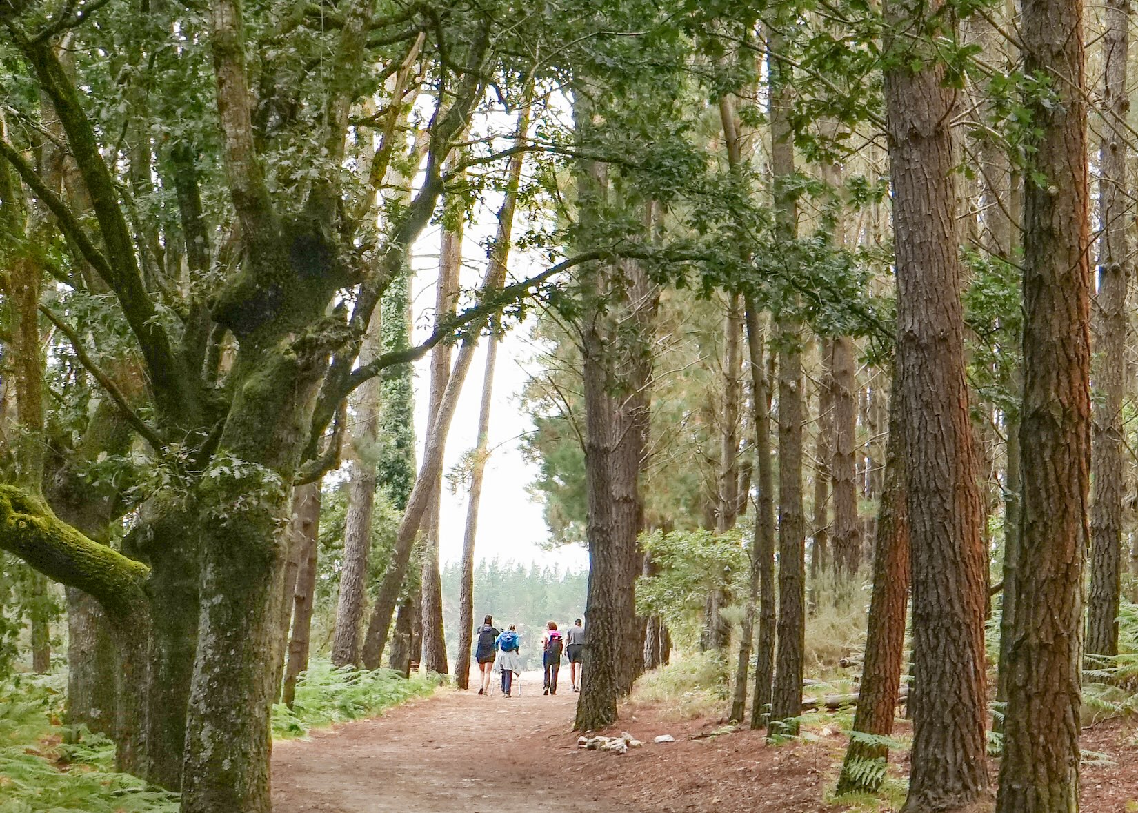 The Camino de Santiago Hiking Adventure