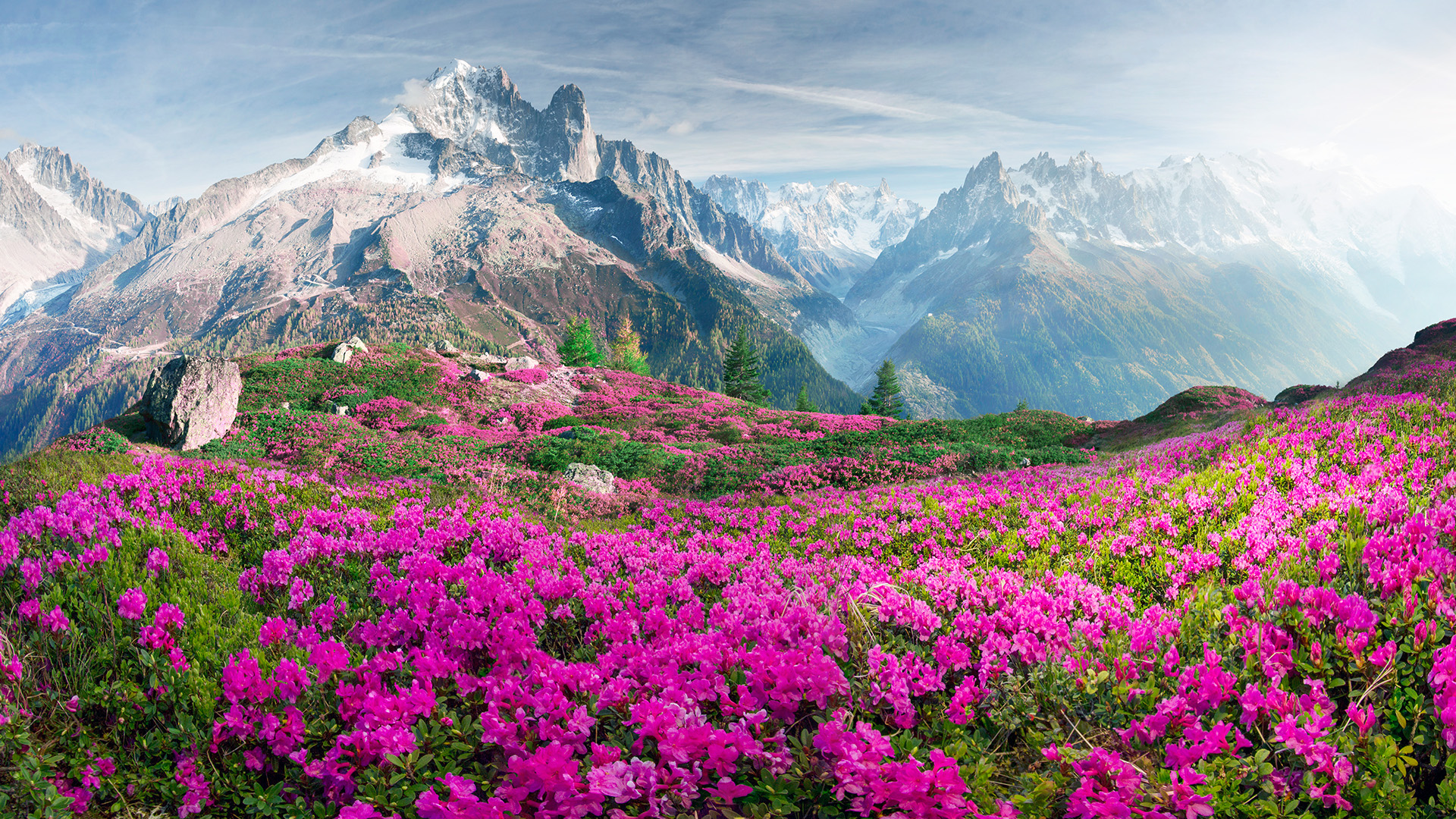 Switzerland Hiking Adventure