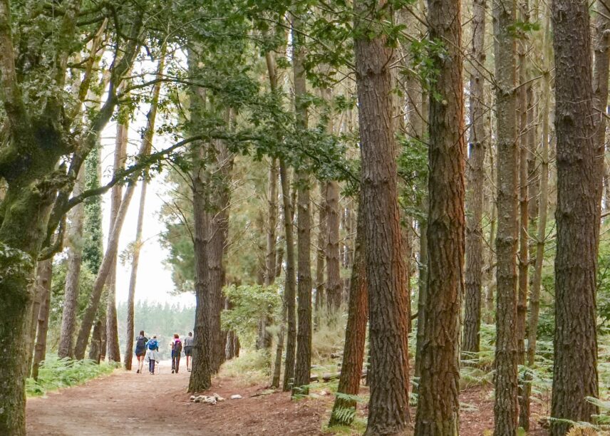 Camino de Santiago for women