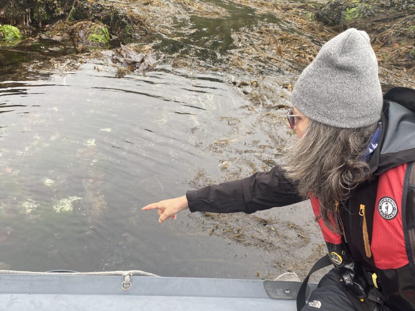 Haida Gwaii Sailing Adventure