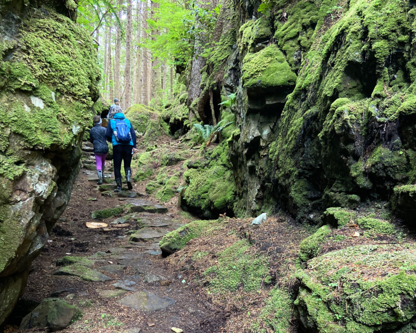 Haida Gwaii Sailing Adventure