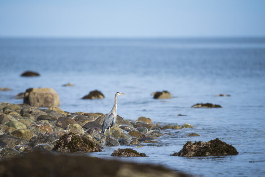Haida Gwaii Sailing Adventure
