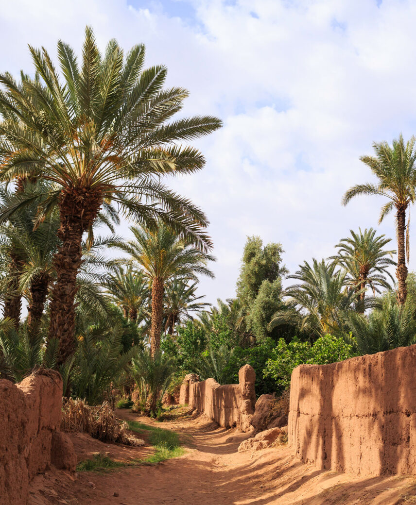 Southern Morocco Explorer