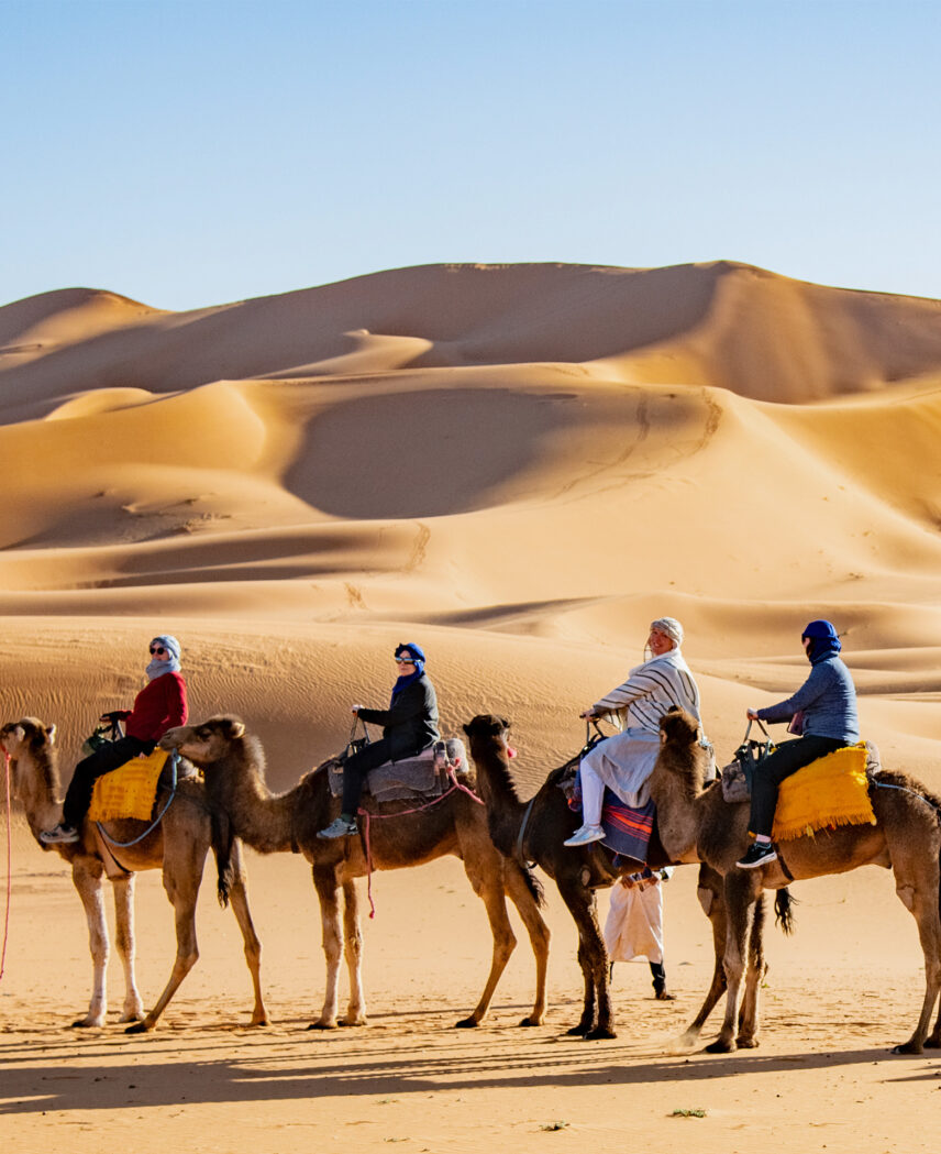 Southern Morocco Explorer