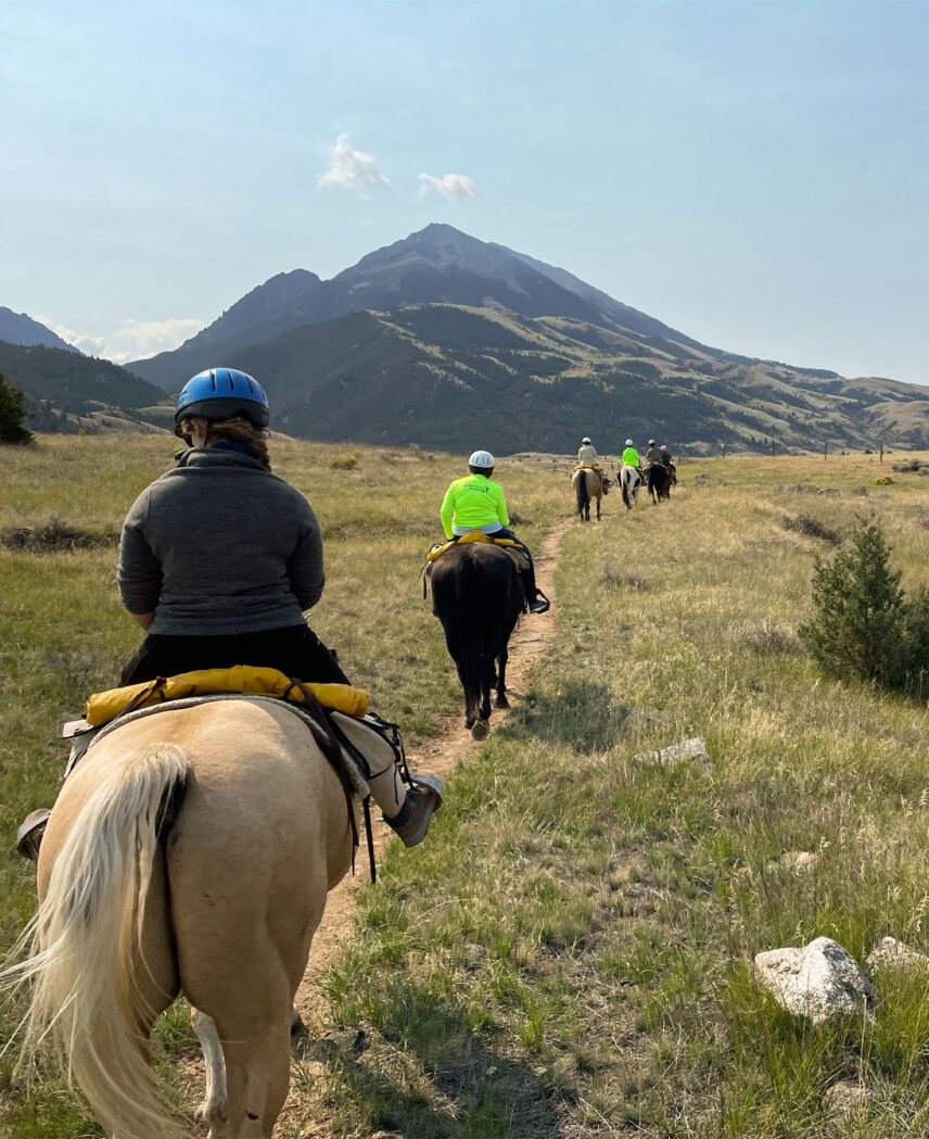 Yellowstone National Park Adventure