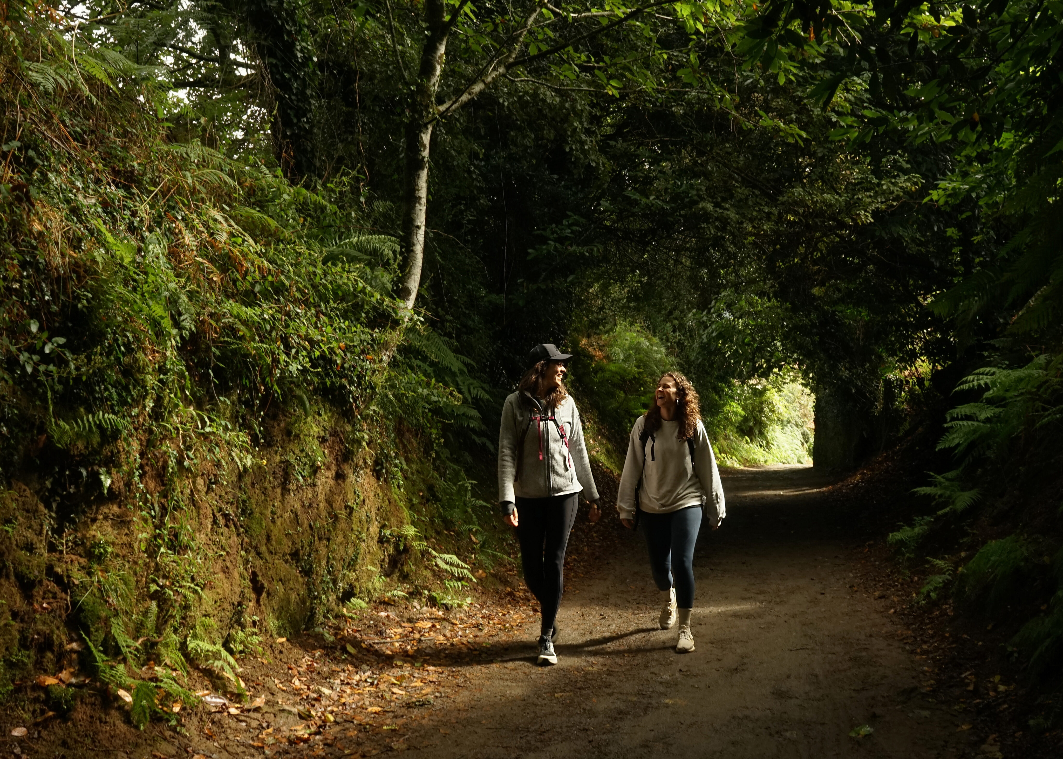 Camino de Santiago Hiking Adventure