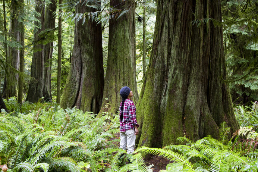 Haida Gwaii Sailing Adventure