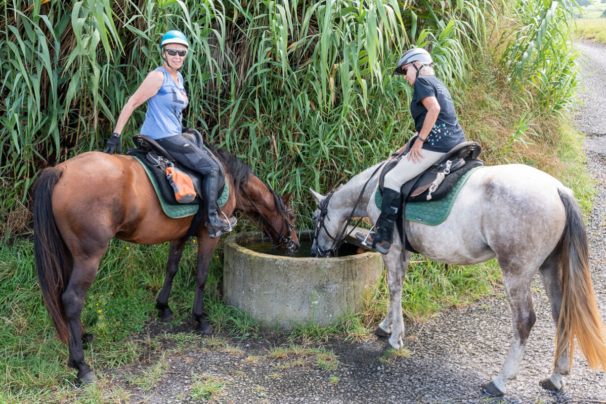 Wild Women Expeditions | Azores Horseback Riding Tour