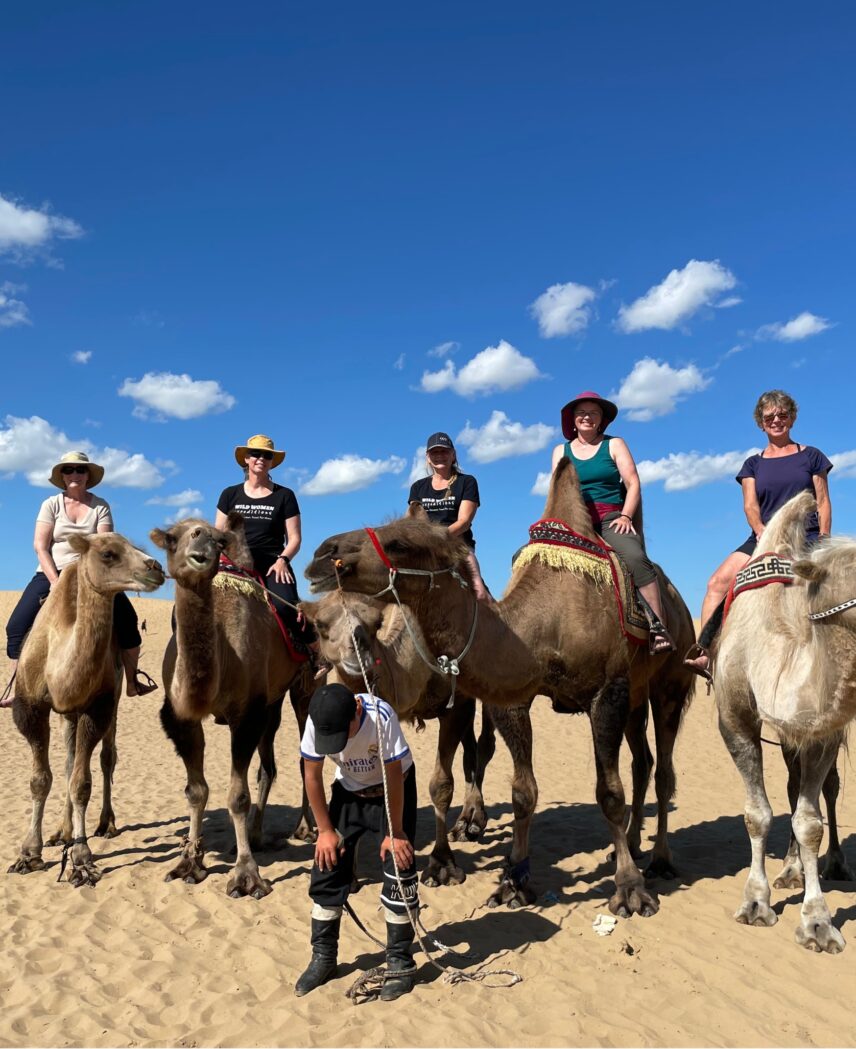 Mongolia Camel Trekking Cline Owen