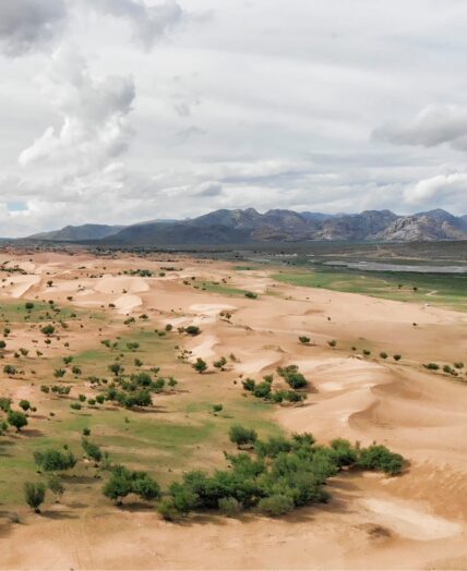 Mongolia Elsen Tasarhai Sand Dune