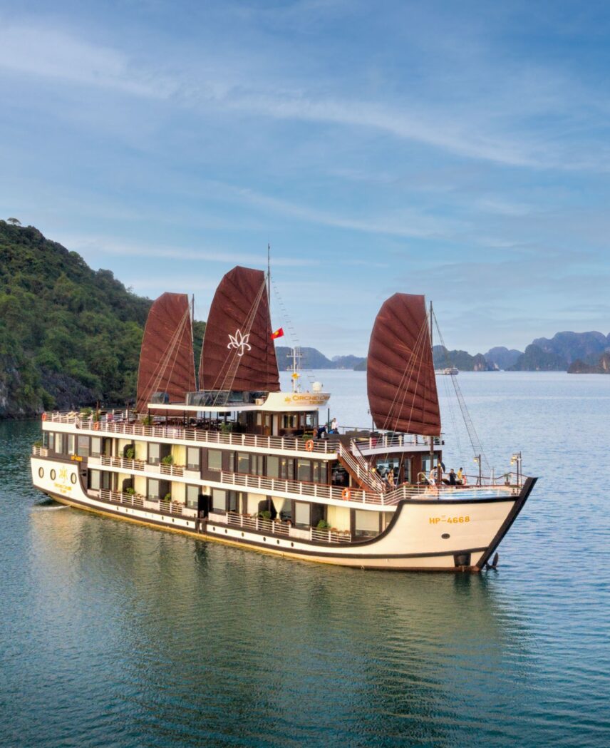 Vietnam Orchid Trendy Ha Long bay