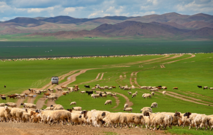 Mongolia Orkhon Valley