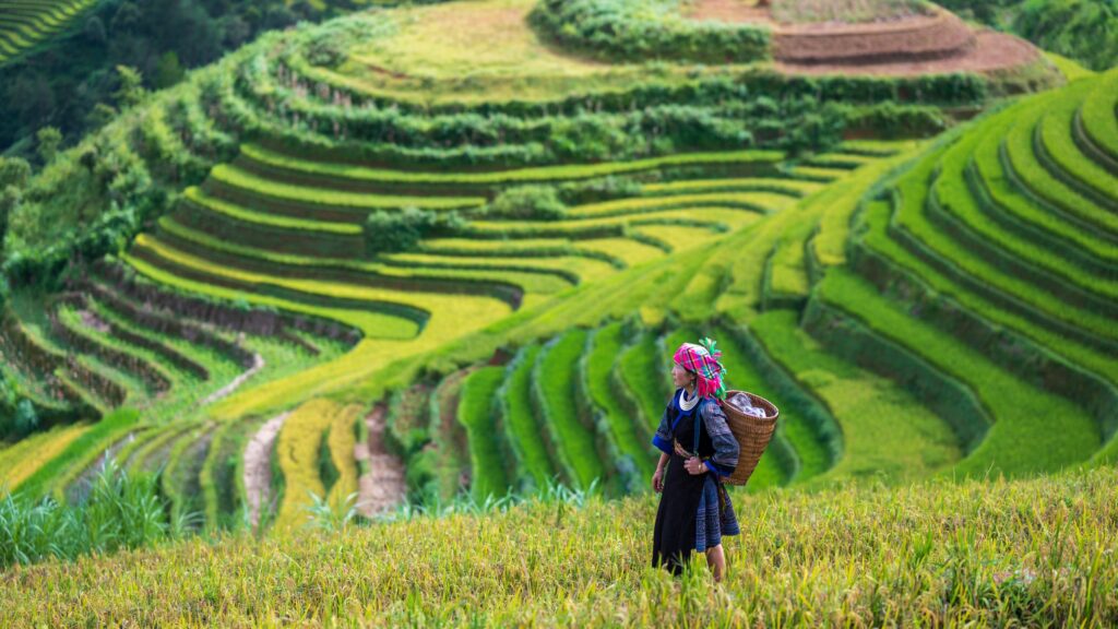 Northern Vietnam Hiking Adventure