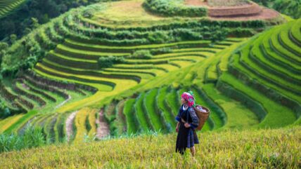 Vietnam Hiking Sapa Hmong Woman Hero