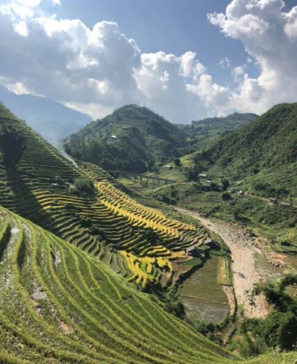 Vietnam Sapa view of rice terraces