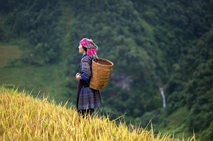Vietnam Hiking Adventure