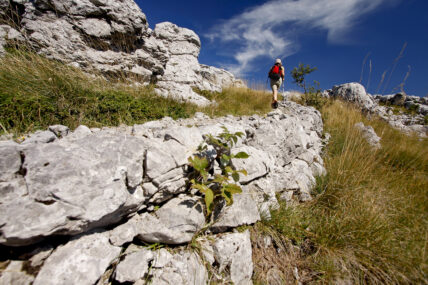 Croatia, wild women expeditions