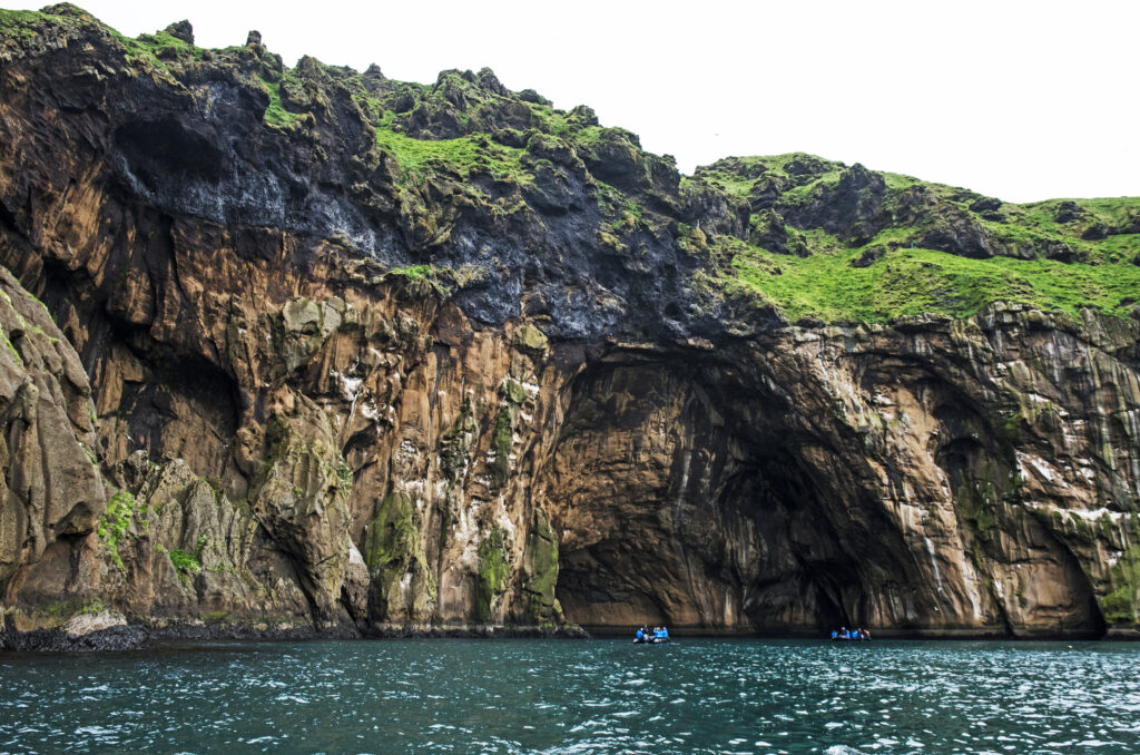 Ireland and the Celtic Shores Wildlife Culture and Coastal Wonder