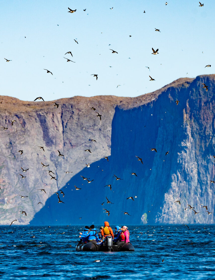 Heart of the Arctic
