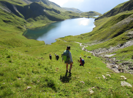 Switzerland Hiking Adventure