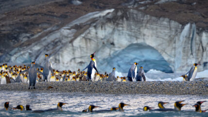 Antarctic Women’s Expedition: Fly the Drake