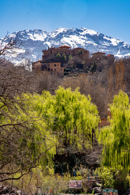 Southern Morocco Explorer