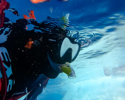 Snorkeling on Women's Antarctic Expedition