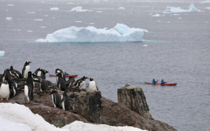 Paddling Antarctica