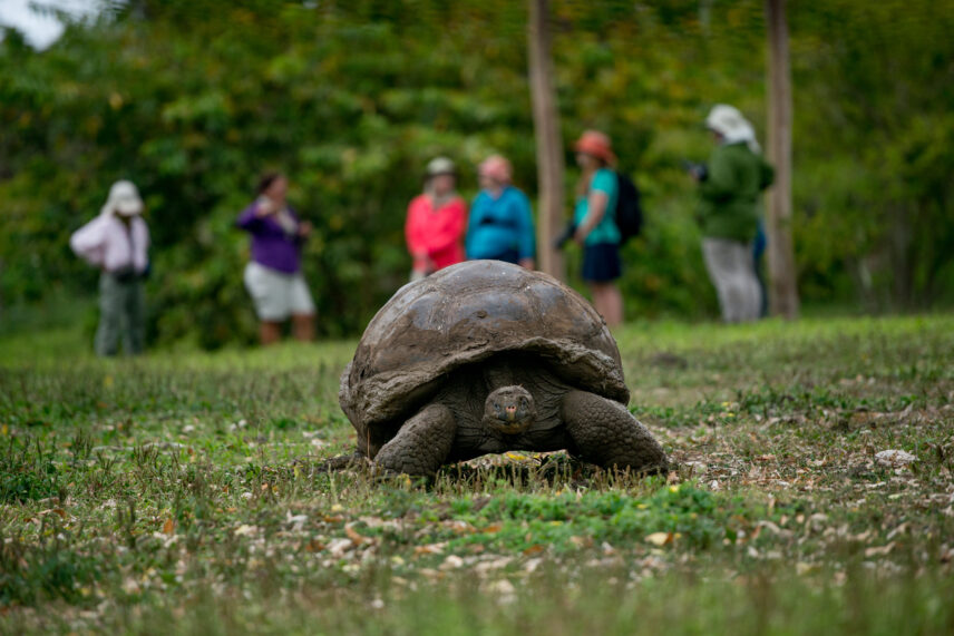 2026 women's adventure travel