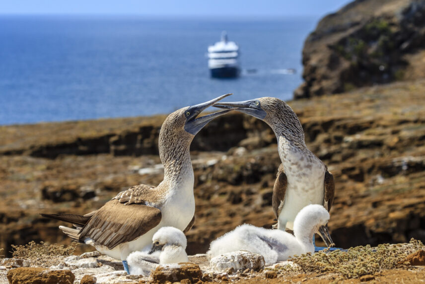 Galapagos Yacht Adventure