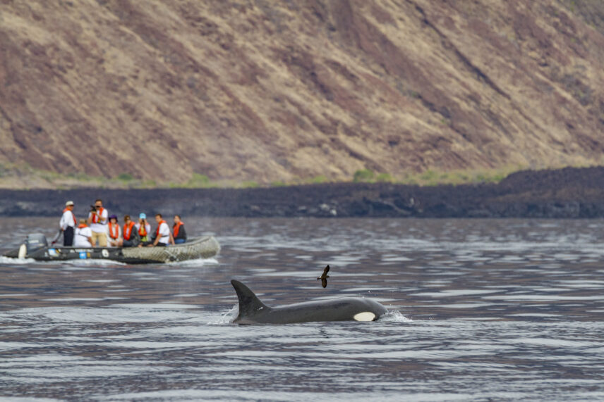 Galápagos Yacht Adventure