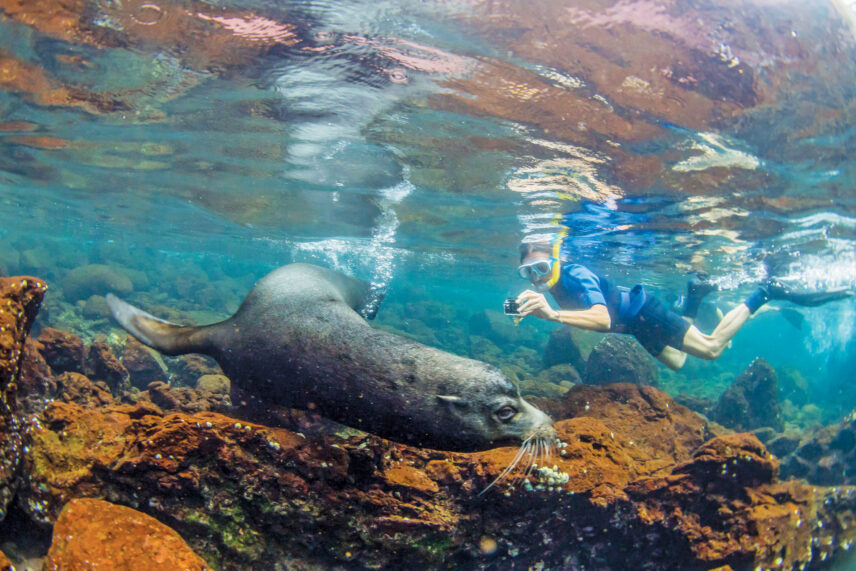 Galápagos Yacht Adventure