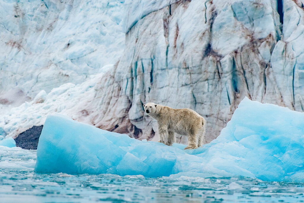 Svalbard Explorer Best of High Arctic Norway