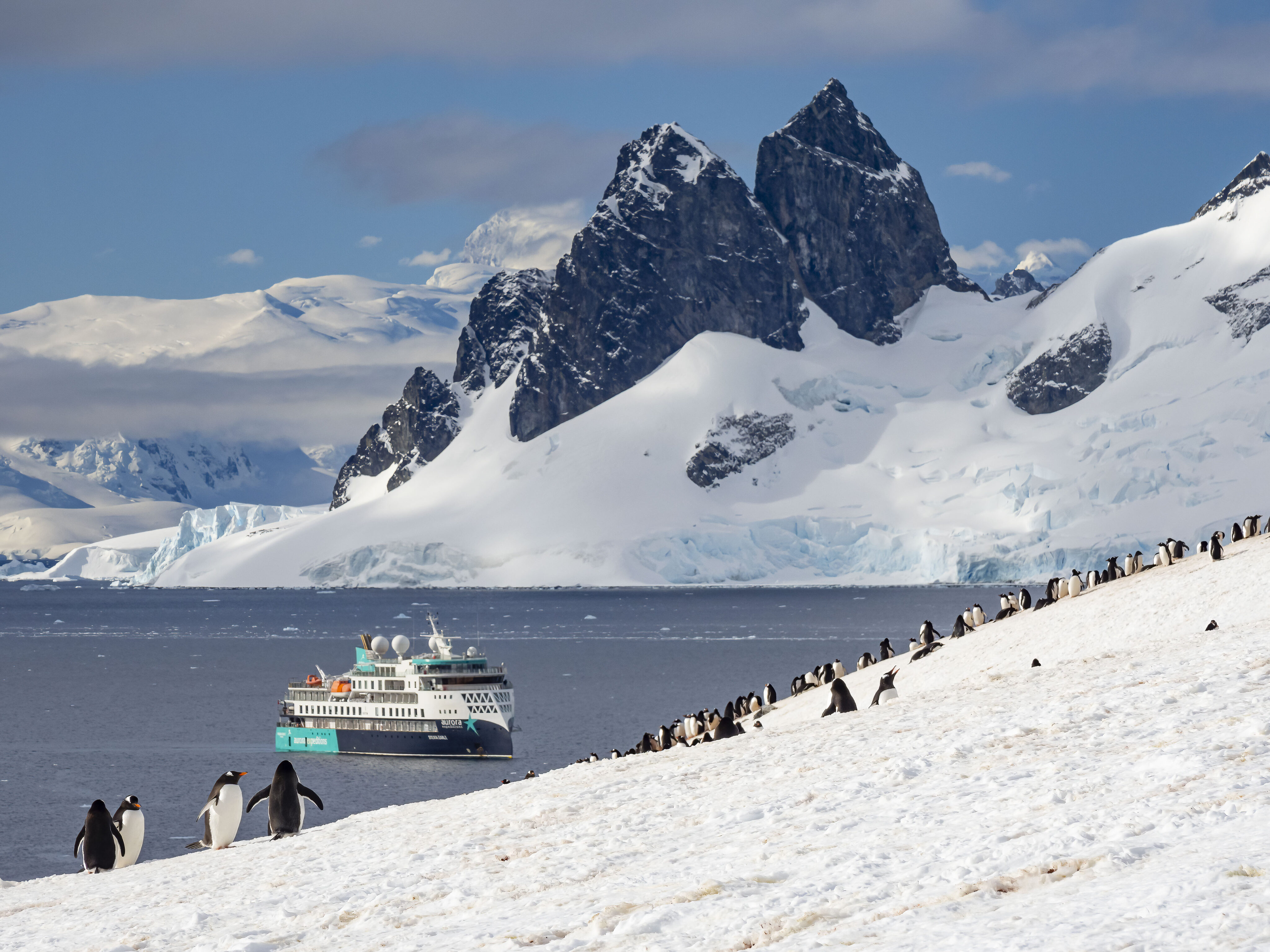 Antarctic Womens Expedition Spirit of Antarctica