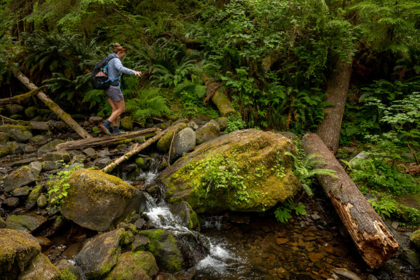 Great Bear Rainforest Sailing Adventure