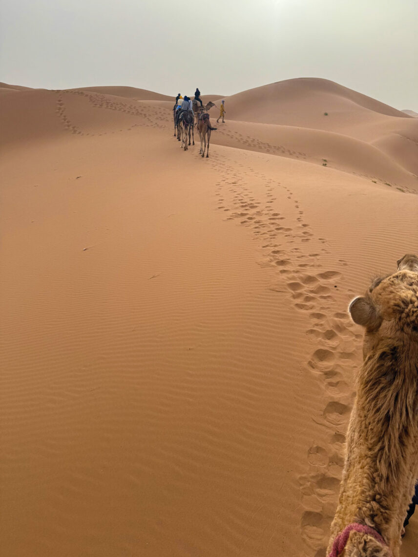 Morocco group travel