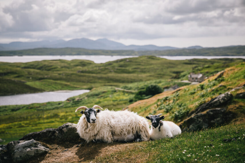 Scotland Small Ship Expedition
