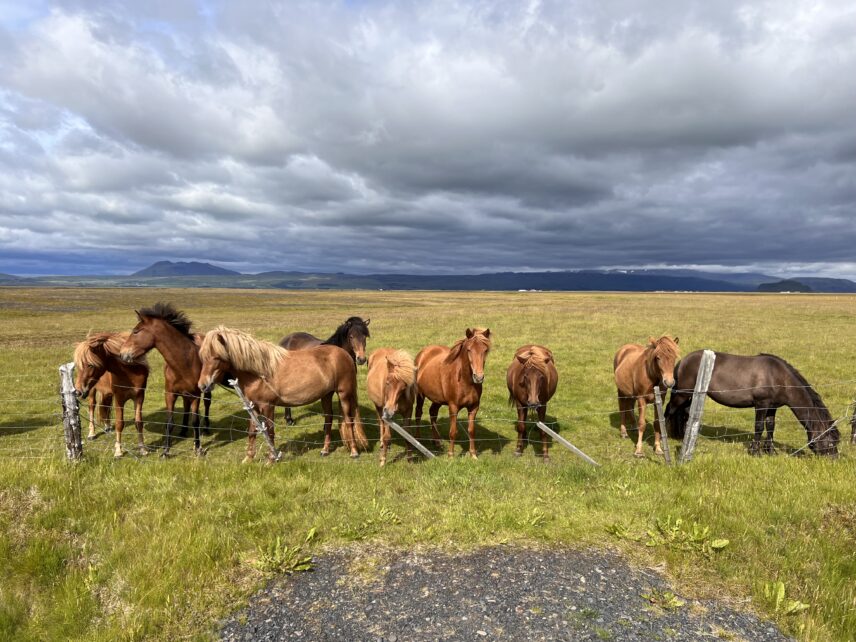 Iceland Hiking Adventure