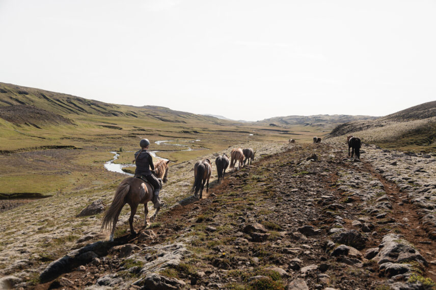 Iceland Horseback Adventure