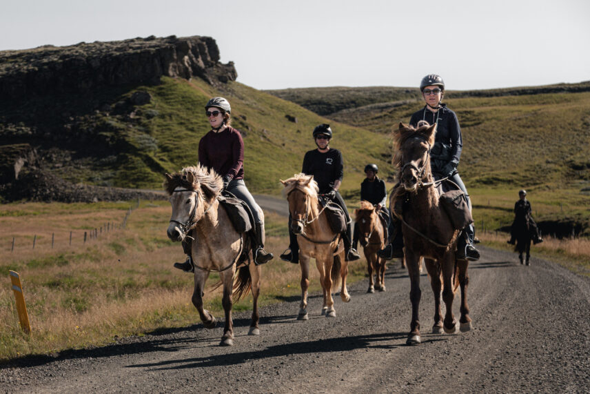 Iceland Horseback Adventure