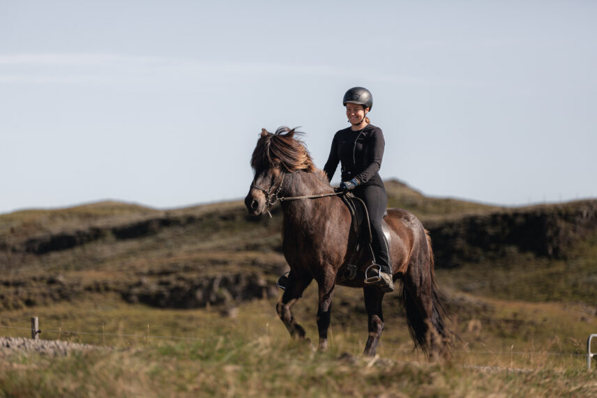 Iceland Horseback Adventure