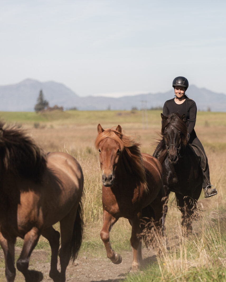 Iceland Horseback Adventure