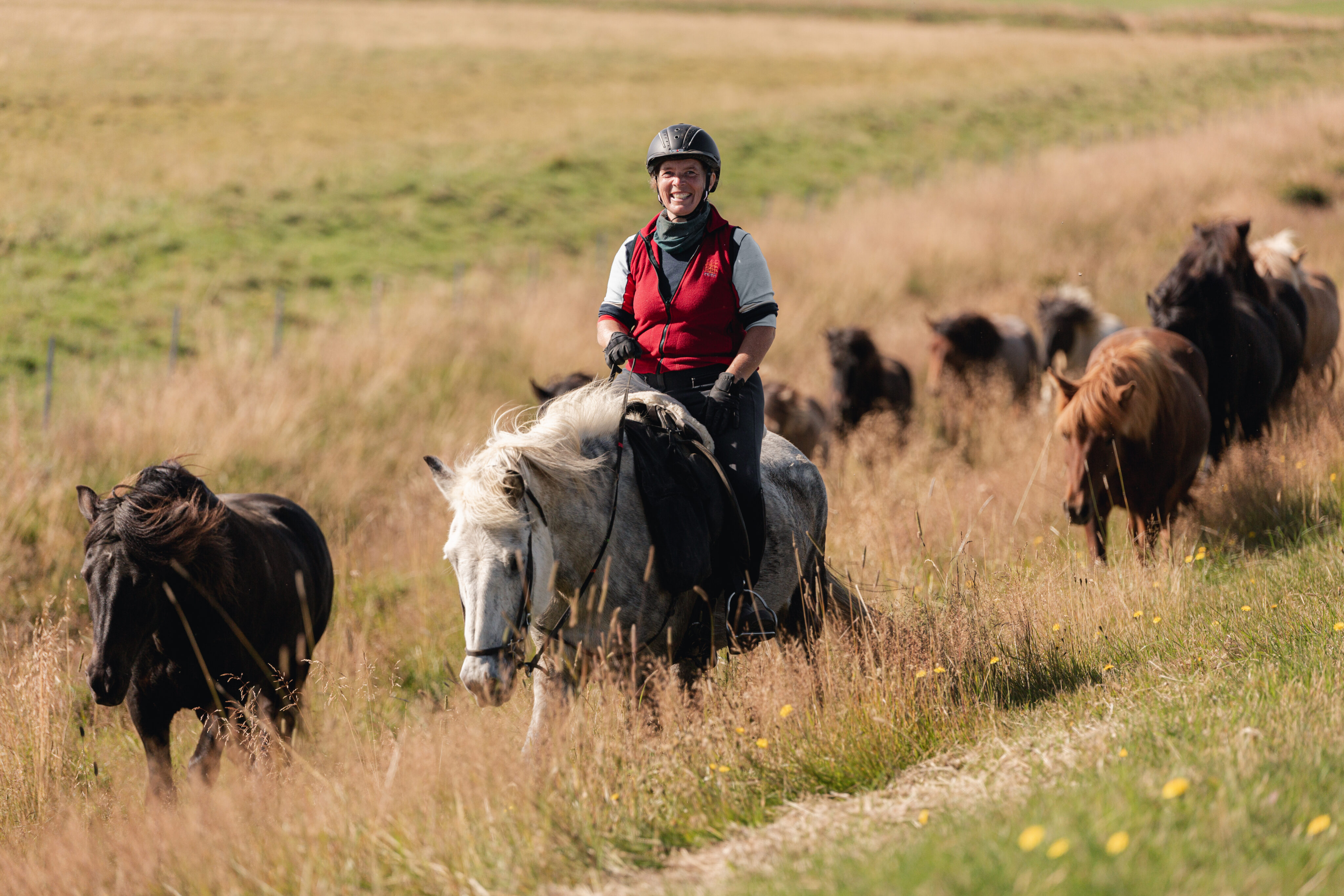 Iceland Horseback Adventure
