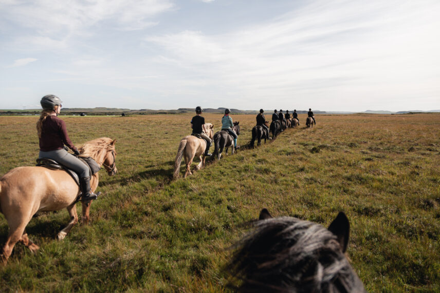 Iceland Horseback Adventure