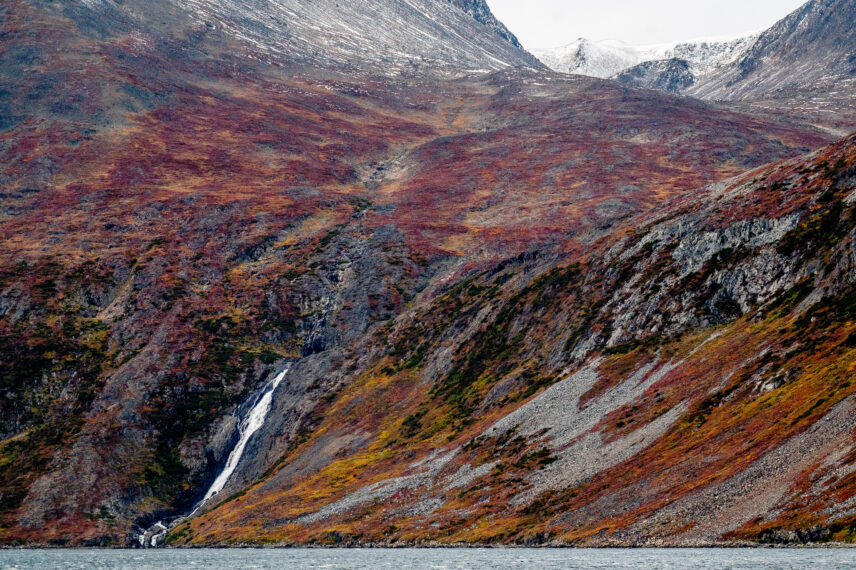 Greenland and Wild Labrador
