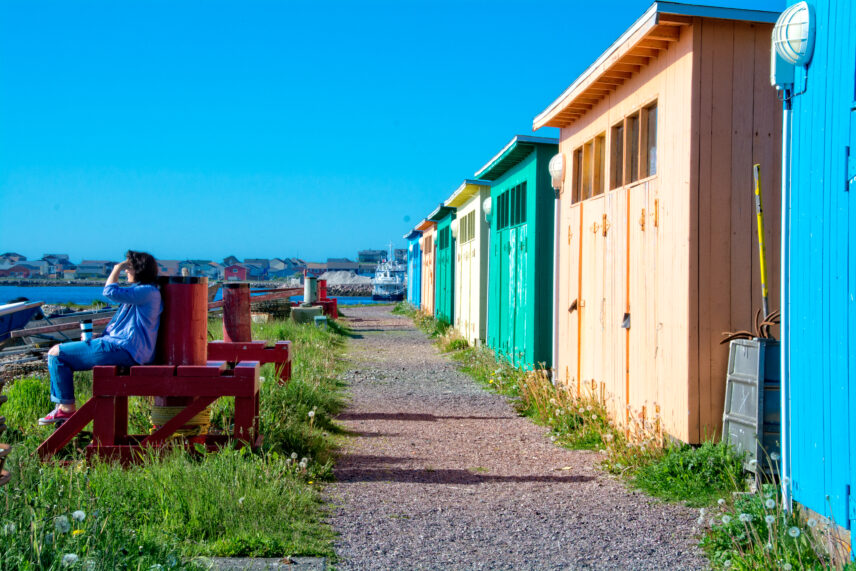 Gulf of St. Lawrence small ship expedition