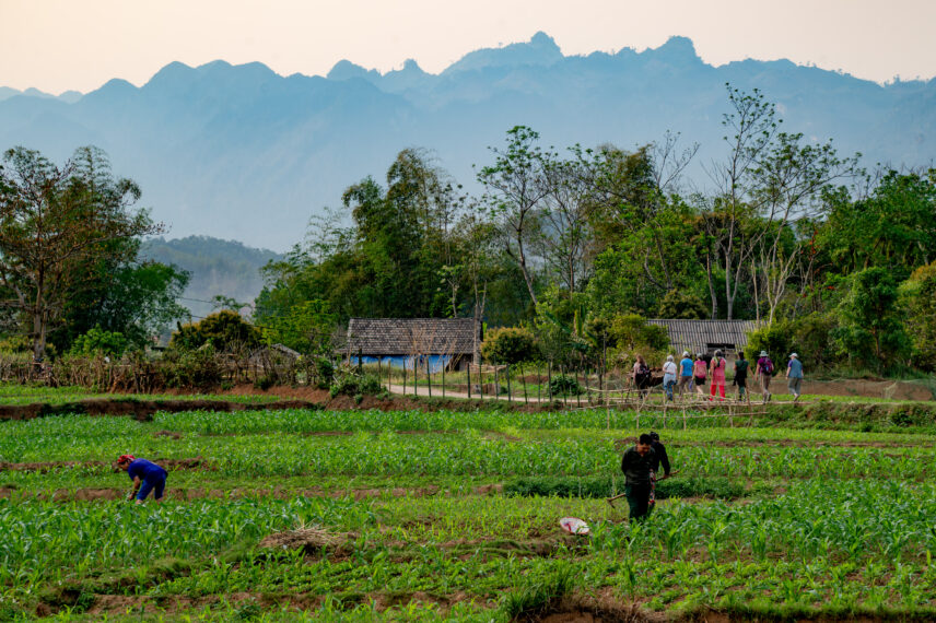 Vietnam Travel, Wild Women Expeditions