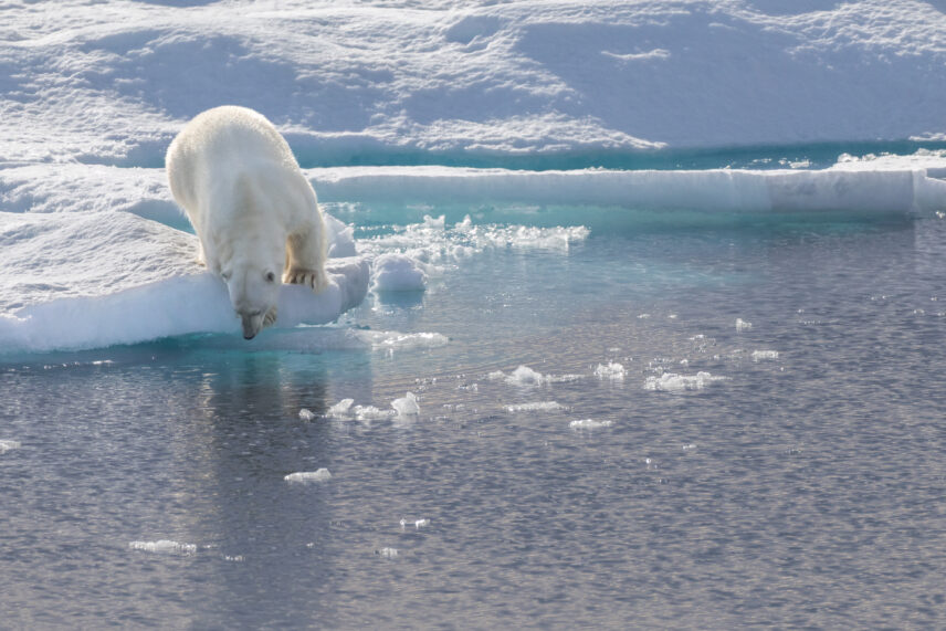 Baffin Island and Greenland Expedition