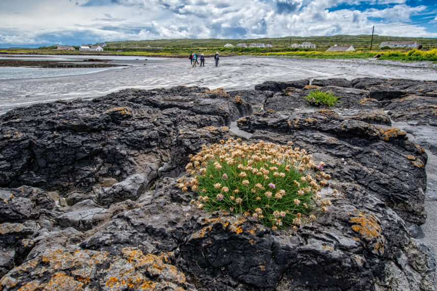 Ireland and Scotland Small Ship Expedition