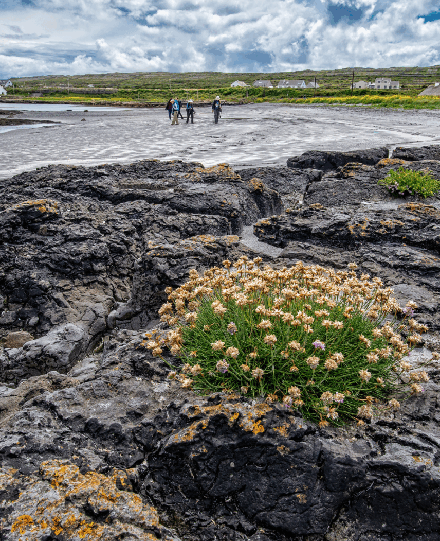 Ireland and Scotland Small Ship Expedition